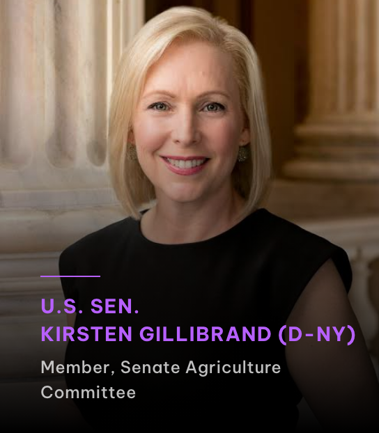Kirsten Gillibrand (D-NY)